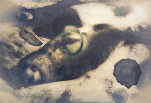 Elephant seal dreams3