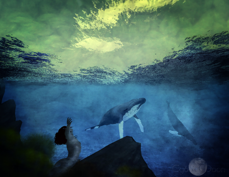 selkie and the whales2